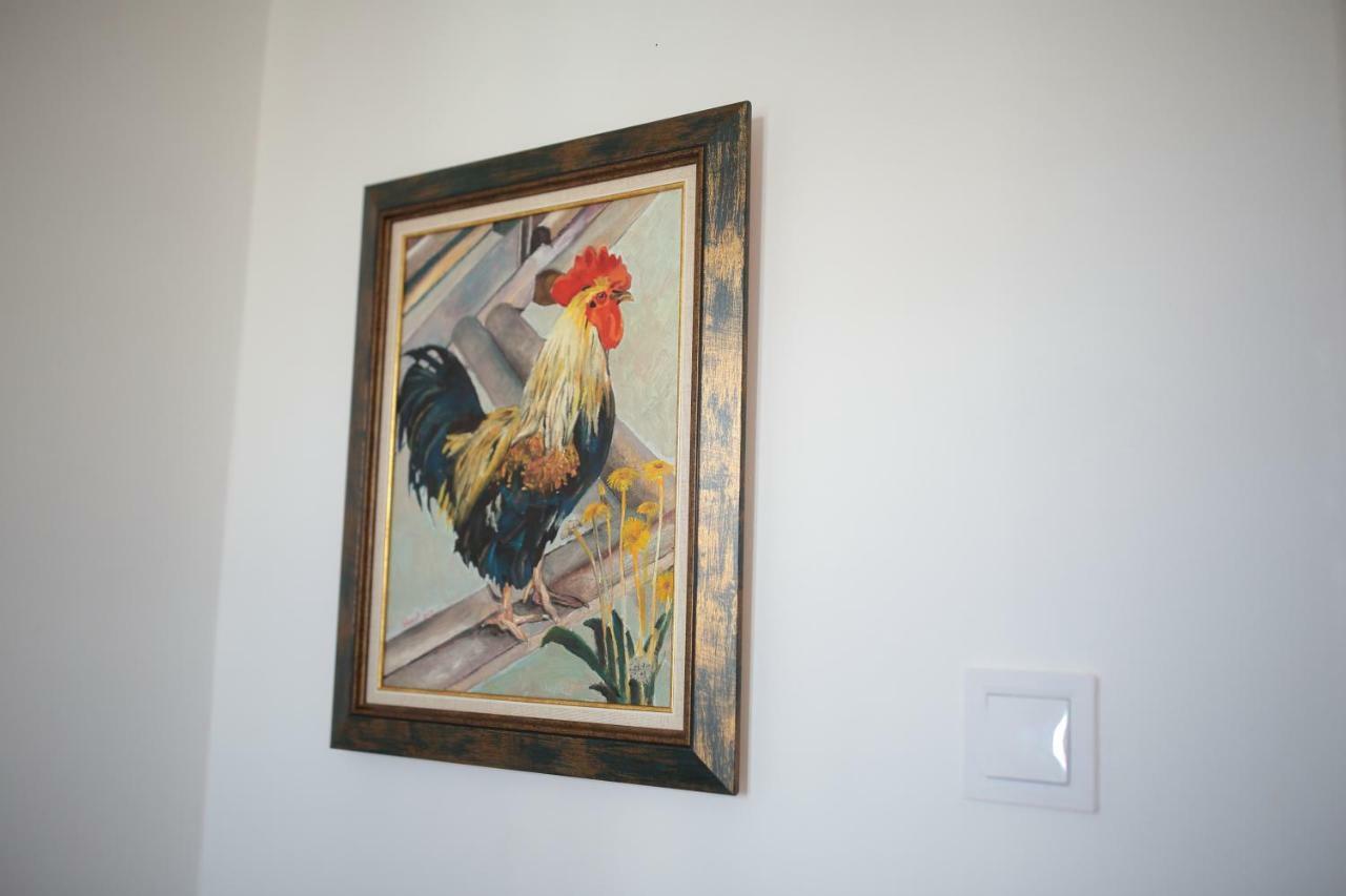 Hostel Musala Varna Ngoại thất bức ảnh